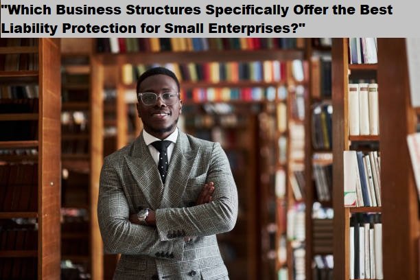 "Which Business Structures Specifically Offer the Best Liability Protection for Small Enterprises?" "Which Business Structures Specifically Offer the Best Liability Protection for Small Enterprises?"